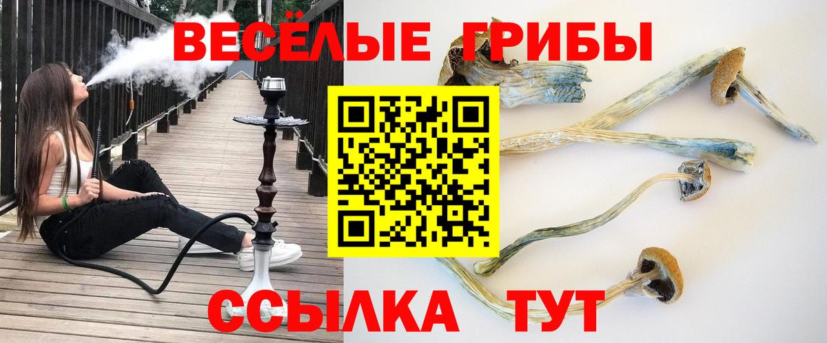 Галлюциногенные грибы мицелий Алушта