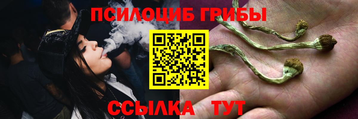 Алушта  Псилоцибиновые грибы MAGIC MUSHROOMS  Вход с VPN 